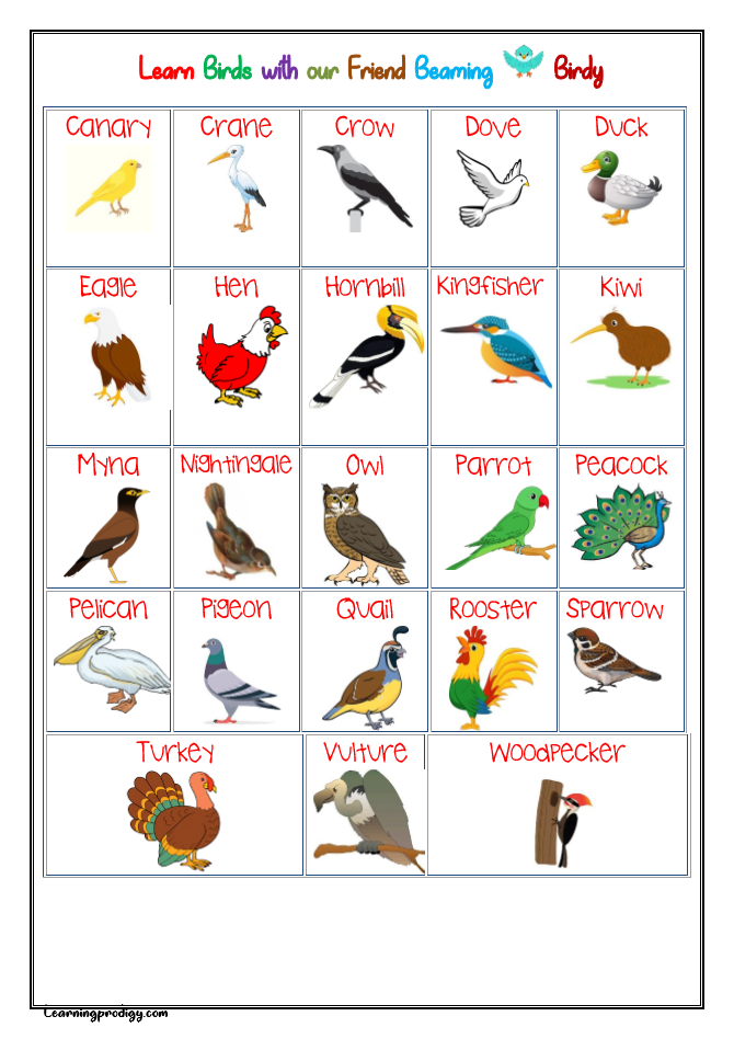 Birds Name Chart in English - LearningProdigy - Charts -