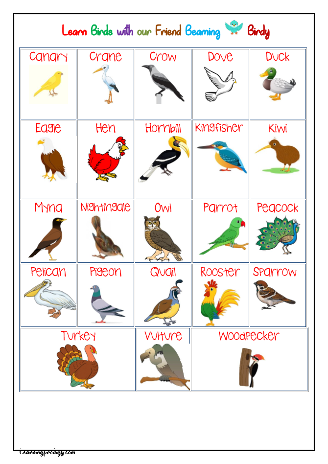 birds pictures with their names