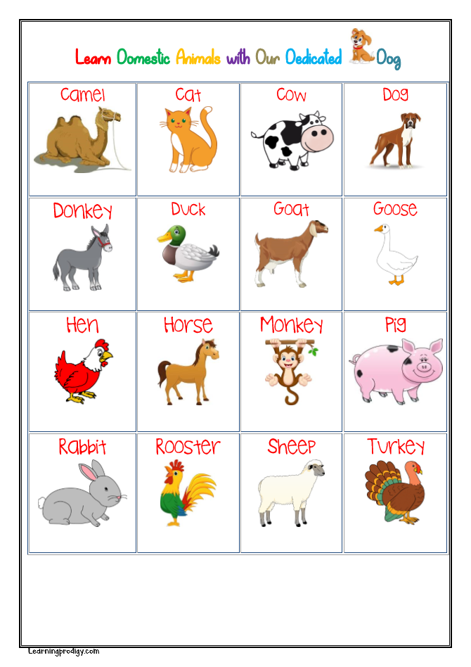 Domestic Animals Chart for Kids with Pictures - LearningProdigy - Charts -