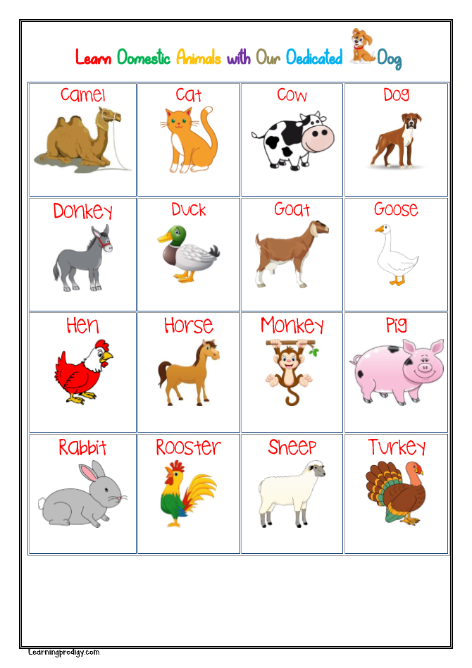 Pet animals for store kindergarten