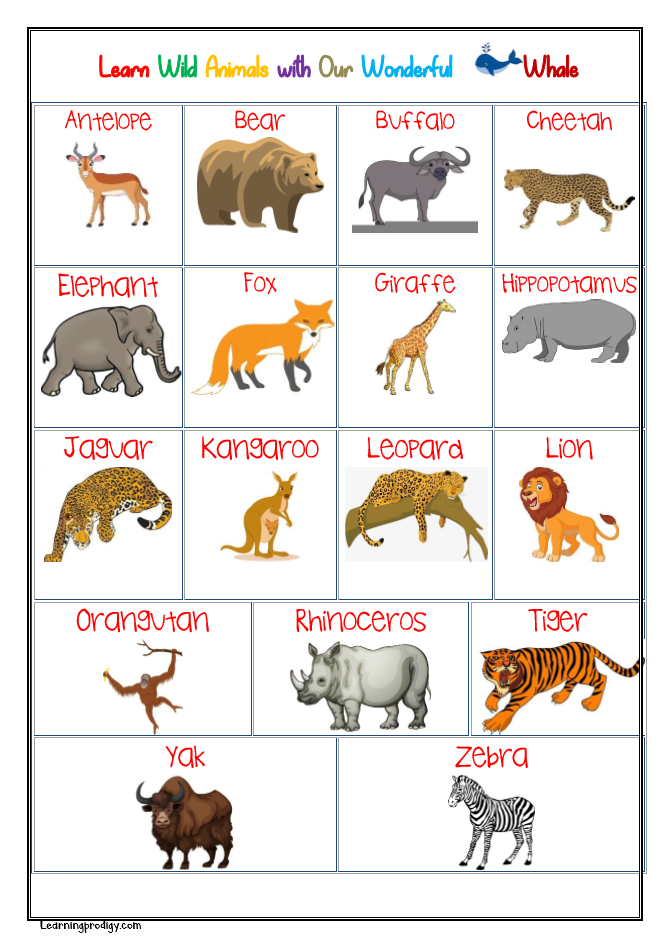 wild animals chart with pictures for kids learningprodigy charts