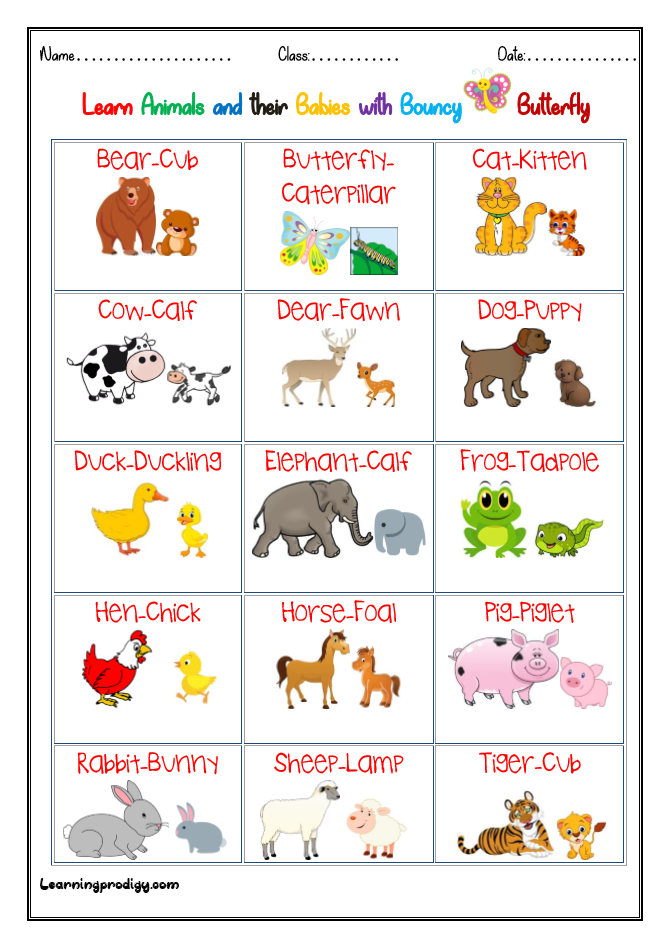 Animals and Babies| Young Ones Chart with Pictures - LearningProdigy -  Charts -