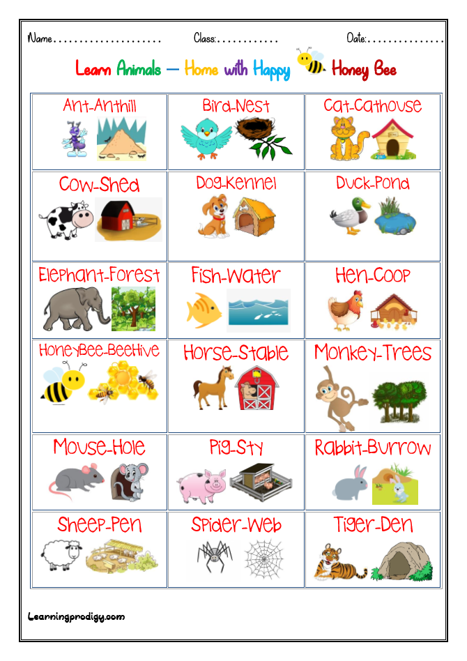 Animals and their Home |Habitat Chart for Preschoolers - LearningProdigy -  Charts -
