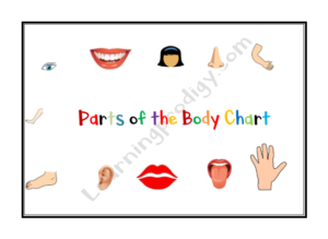 Parts of the Body Chart for Kids | LearningProdigy | Charts