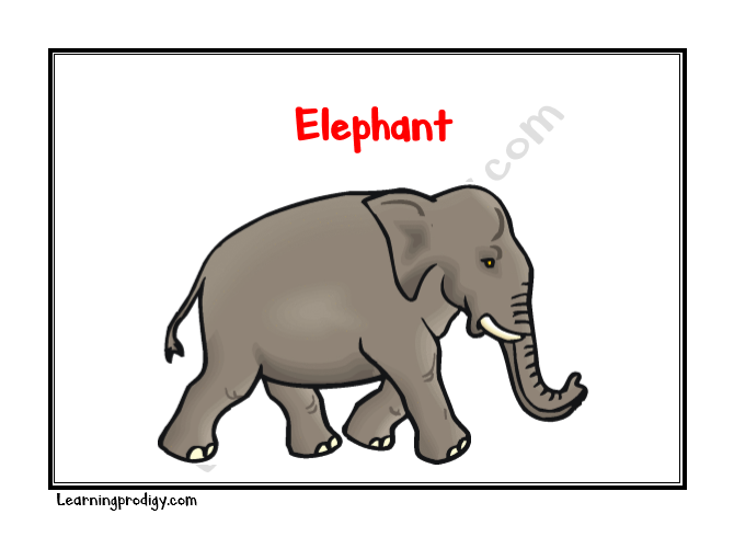 Printable Flashcards For Babies Toddlers Wild Animals Flashcards