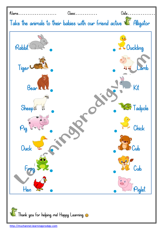 Match the Animals to their Young Ones-2