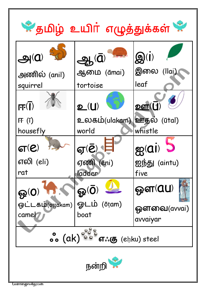 Chart tamil alphabet